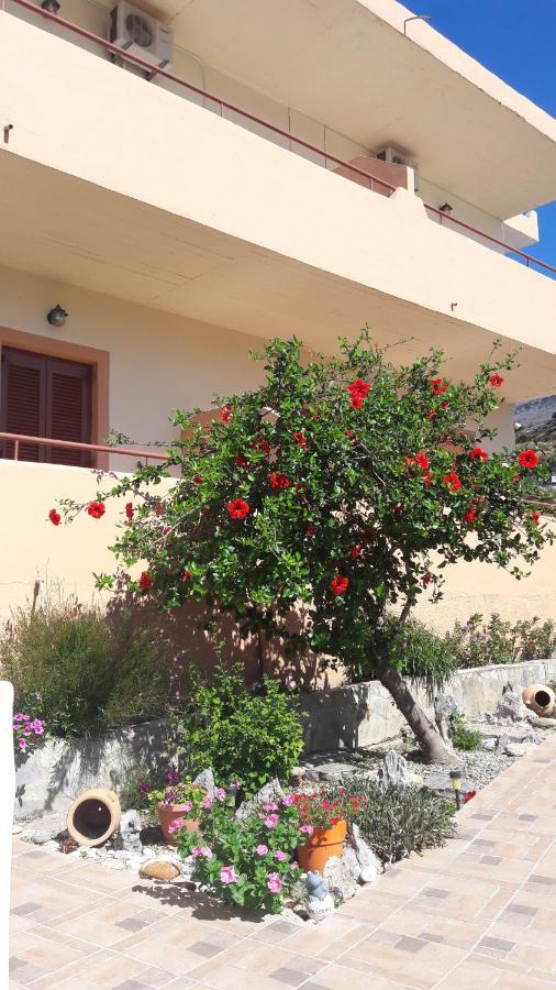 Villa Dora Plakias Exterior photo